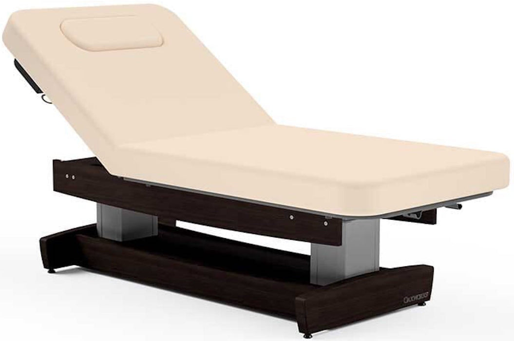 Performalift Power Hi-Lo Massage Table w/ Lift Assist Adjustable Back & ABC System. 33"W. 4" Padding
