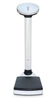 755 Mechanical Column Scale