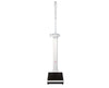 769 Digital Column Scale with Stadiometer