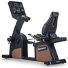 Eco-Natural Status Recumbent Cycle. 500 lbs Capacity