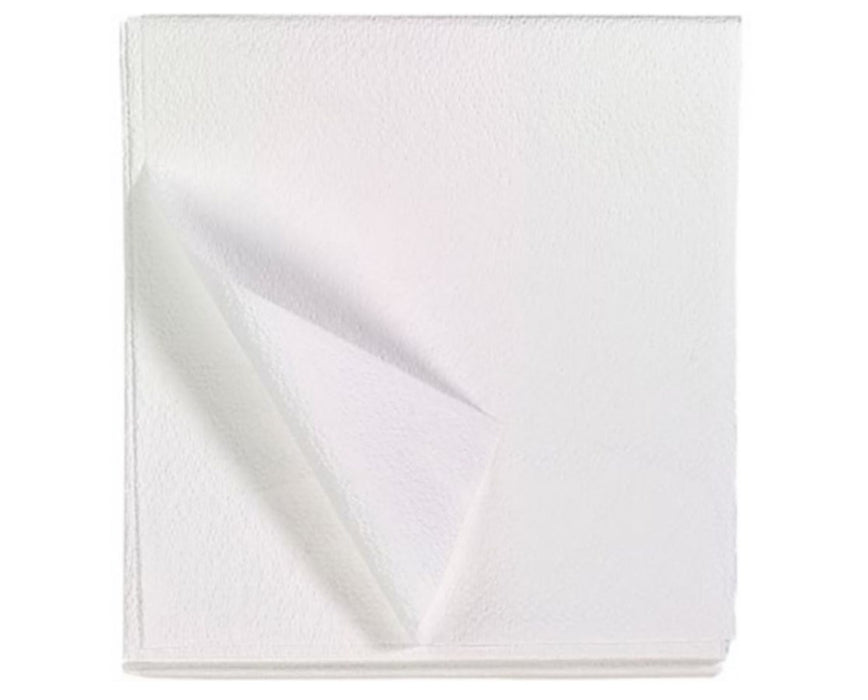 Everyday Patient Drape Sheets, 2-Ply - 100/Case