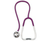 Stethoscope. Plum. Adult